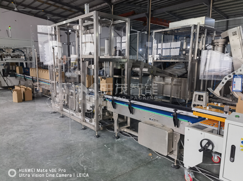 智能兩軸機器人裝箱機——定制化適用于食品、醫(yī)藥、電子行業(yè)自動化生產(chǎn)線廠家