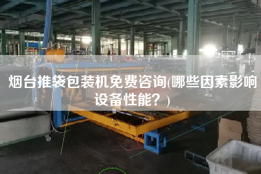 煙臺(tái)推袋包裝機(jī)免費(fèi)咨詢(哪些因素影響設(shè)備性能？)