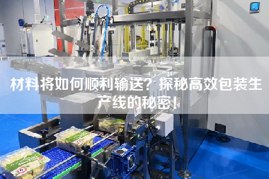 材料將如何順利輸送？探秘高效包裝生產(chǎn)線的秘密！
