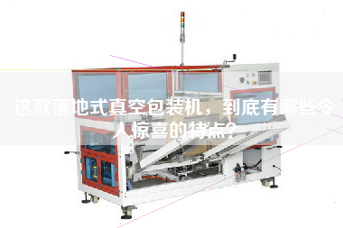 這款落地式真空包裝機(jī)，到底有哪些令人驚喜的特點？