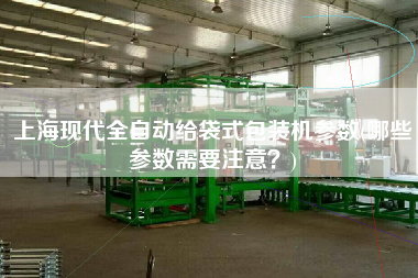 上海現(xiàn)代全自動給袋式包裝機(jī)參數(shù)(哪些參數(shù)需要注意？)