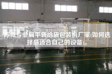 蘇州專業(yè)扁平袋給袋包裝機(jī)廠家(如何選擇z適合自己的設(shè)備)。