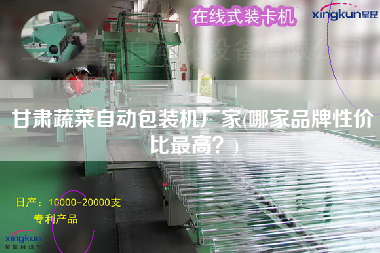 甘肅蔬菜自動包裝機廠家(哪家品牌性價比z高？)