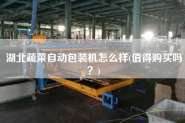 湖北蔬菜自動包裝機怎么樣(值得X嗎？)
