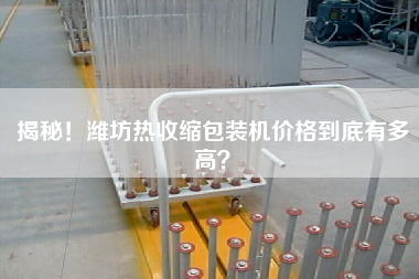 揭秘！濰坊熱收縮包裝機(jī)價(jià)格到底有多高？