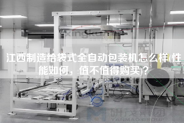 江西制造給袋式全自動(dòng)包裝機(jī)怎么樣(性能如何，值不值得X)？