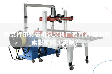 南京打印裝袋機(jī)包裝機(jī)廠家直銷(xiāo)(哪些因素影響X決策？)