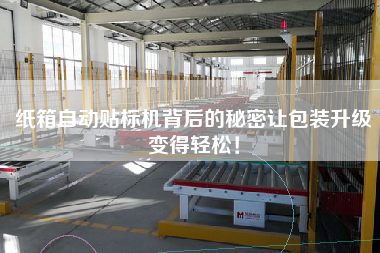 紙箱自動(dòng)貼標(biāo)機(jī)背后的秘密讓包裝升級(jí)變得輕松！