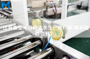 江蘇重塑米自動(dòng)流水生產(chǎn)線廠家(哪家值得信賴？)