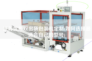 江蘇優(yōu)質(zhì)雙出袋包裝機(jī)定制(如何選擇z適合自己的型號)