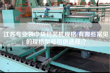 江蘇專業(yè)袋中袋包裝機(jī)規(guī)格(有哪些常見的規(guī)格型號可供選擇)？