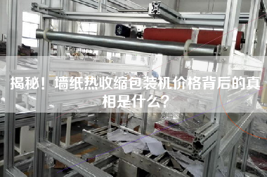 揭秘！墻紙熱收縮包裝機(jī)價格背后的真相是什么？