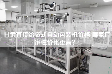 甘肅直接給袋式自動包裝機(jī)價格(哪家廠家性價比z高？)