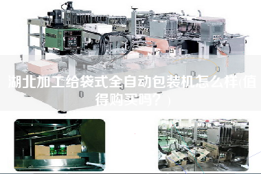 湖北加工給袋式全自動包裝機怎么樣(值得X嗎？)