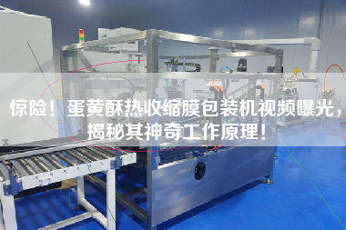 驚險(xiǎn)！蛋黃酥熱收縮膜包裝機(jī)視頻曝光，揭秘其神奇工作原理！
