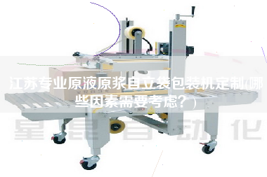 江蘇專業(yè)原液原漿自立袋包裝機(jī)定制(哪些因素需要考慮？)