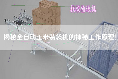 揭秘全自動(dòng)玉米裝袋機(jī)的神秘工作原理！