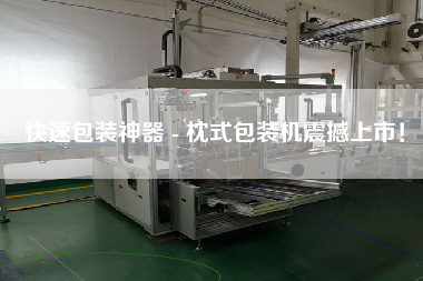 快速包裝神器 - 枕式包裝機(jī)震撼上市！