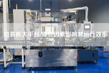 包裝機大平臺(哪些因素影響其運行效率？)