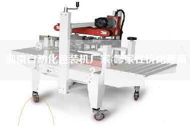 湖南自動化包裝機(jī)廠家(哪家性價比z高？)