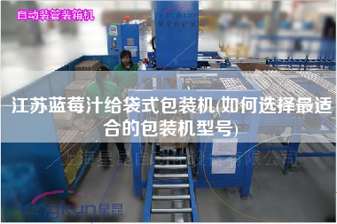 江蘇藍(lán)莓汁給袋式包裝機(如何選擇z適合的包裝機型號)