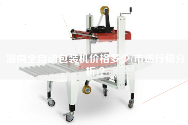 湖南全自動(dòng)包裝機(jī)價(jià)格多少(市場(chǎng)行情分析)？
