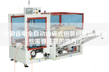 安徽省電全自動給袋式包裝機(jī)參數(shù)(有哪些需要注意的地方)？