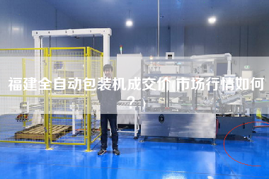 福建全自動包裝機成交價(市場行情如何？)