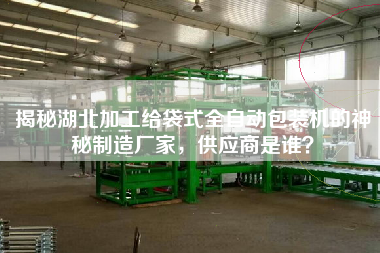揭秘湖北加工給袋式全自動(dòng)包裝機(jī)的神秘制造廠家，供應(yīng)商是誰(shuí)？