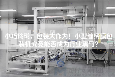 X，包裝大作為！小型纏繞膜包裝機(jī)究竟能否成為行業(yè)黑馬？