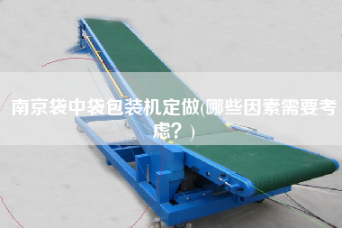 南京袋中袋包裝機定做(哪些因素需要考慮？)