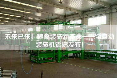 未來已來！糧食裝袋新革命——全自動(dòng)裝袋機(jī)震撼發(fā)布！
