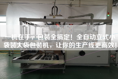 一機(jī)在手，包裝全搞定！全自動(dòng)立式小袋裝大袋包裝機(jī)，讓你的生產(chǎn)線z高效！