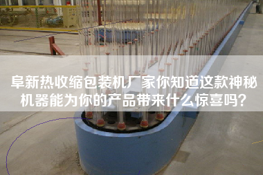 阜新熱收縮包裝機廠家你知道這款神秘機器能為你的產(chǎn)品帶來什么驚喜嗎？