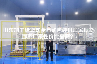 山東加工給袋式全自動包裝機(jī)廠家現(xiàn)貨(哪家廠家性價比z高？)