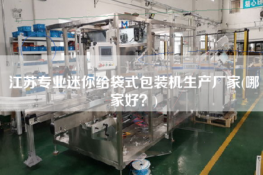 江蘇專業(yè)迷你給袋式包裝機(jī)生產(chǎn)廠家(哪家好？)