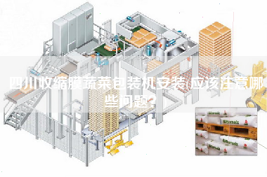 四川收縮膜蔬菜包裝機(jī)安裝(應(yīng)該注意哪些問(wèn)題？)