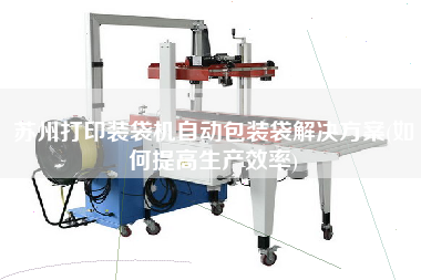 蘇州打印裝袋機自動包裝袋解決方案(如何提高生產(chǎn)效率)