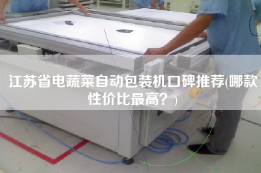 江蘇省電蔬菜自動包裝機口碑推薦(哪款性價比z高？)