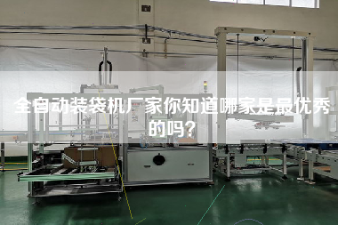 全自動裝袋機廠家你知道哪家是z優(yōu)秀的嗎？