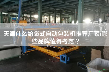 天津什么給袋式自動包裝機推薦廠家(哪些品牌值得考慮)？