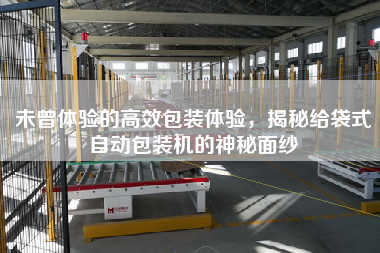 未曾體驗的高效包裝體驗，揭秘給袋式自動包裝機的神秘面紗