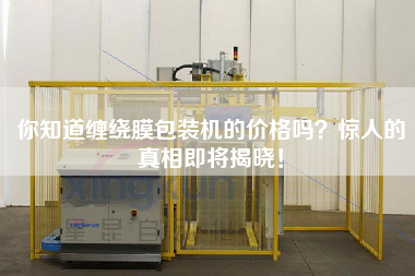 你知道纏繞膜包裝機的價格嗎？驚人的真相即將揭曉！