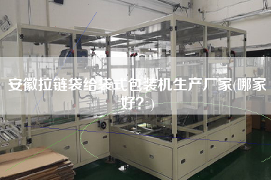 安徽拉鏈袋給袋式包裝機生產廠家(哪家好？)