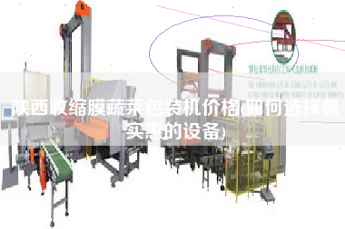 陜西收縮膜蔬菜包裝機(jī)價格(如何選擇z實惠的設(shè)備)