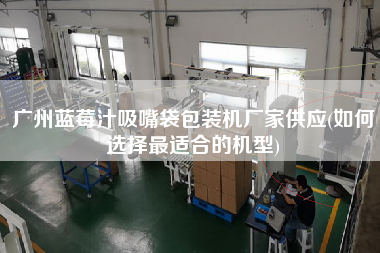 廣州藍莓汁吸嘴袋包裝機廠家供應(yīng)(如何選擇z適合的機型)