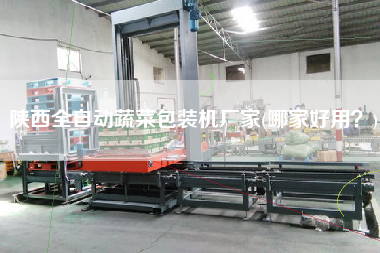 陜西全自動(dòng)蔬菜包裝機(jī)廠家(哪家好用？)