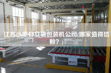 江蘇小型自立袋包裝機(jī)公司(哪家值得信賴？)