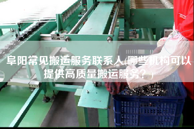 阜陽常見搬運服務(wù)聯(lián)系人(哪些機構(gòu)可以提供高質(zhì)量搬運服務(wù)？)