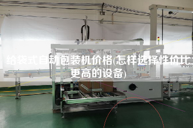 給袋式自動包裝機(jī)價格(怎樣選擇性價比z高的設(shè)備)